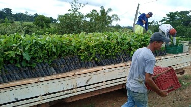 Ações implementadas pelo governador Marcos Rocha vêm transformando o agronegócio em Rondônia
